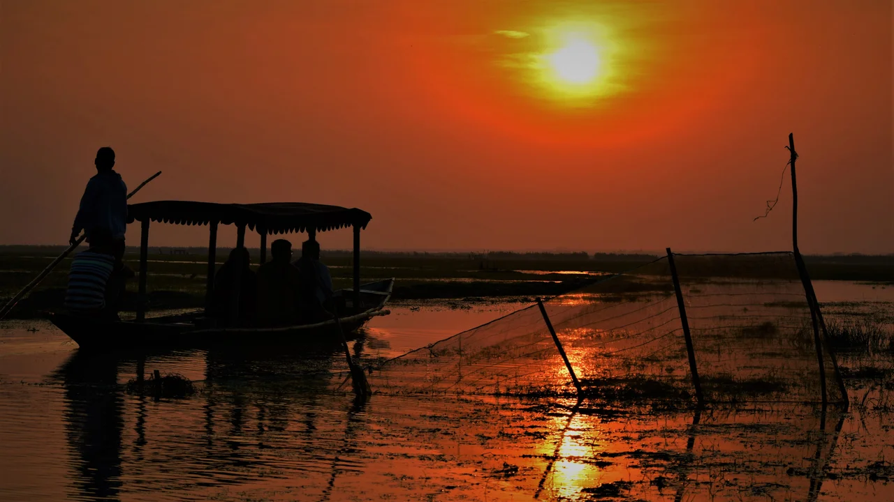 Birds frequent this wildlife sanctuary wetlands odisha mangalajodi india chilka lake orissa