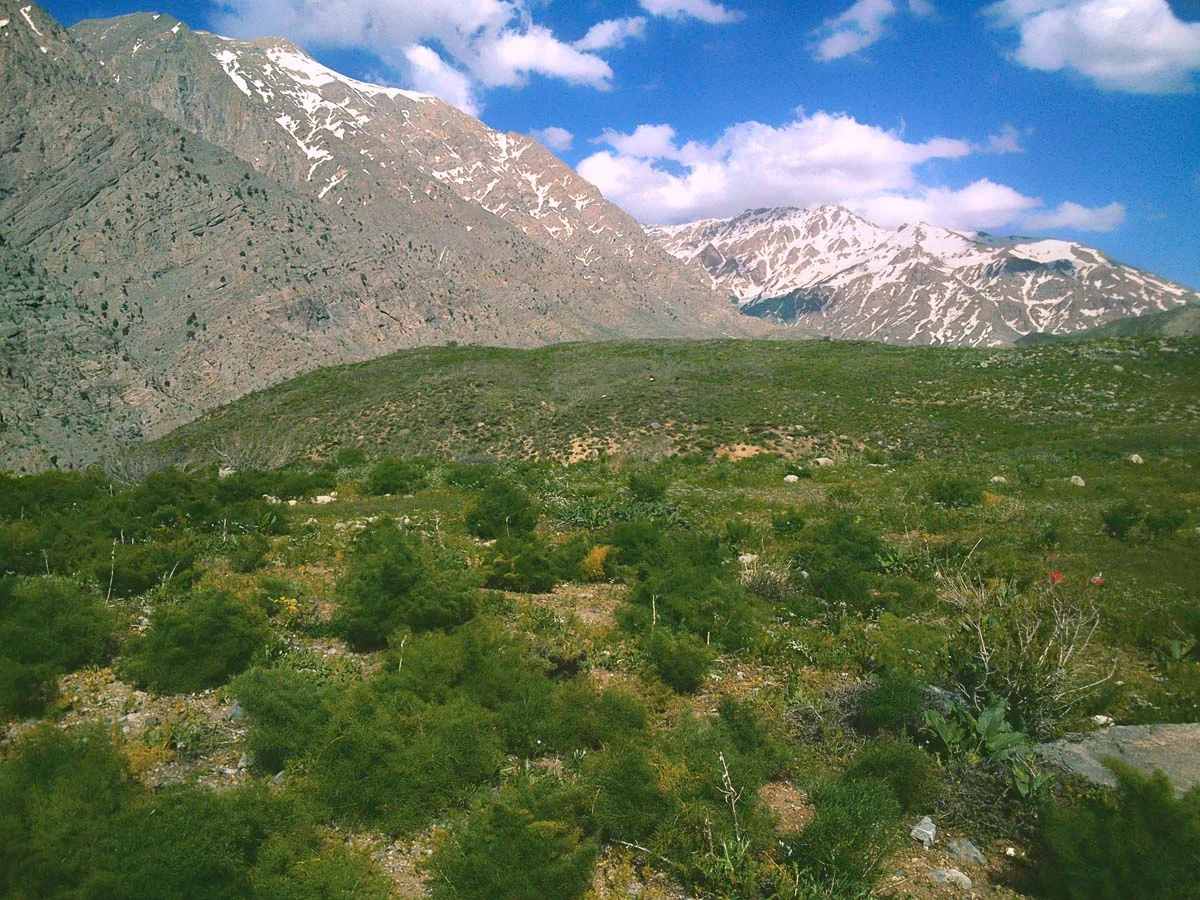 Dena protected area