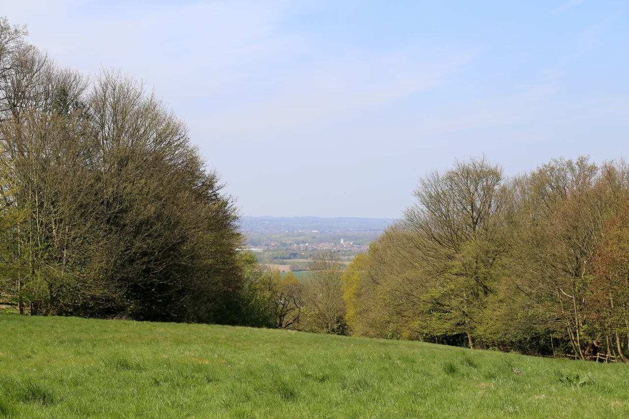 The trail of the Centenary Walk in Epping Forest, south of High Beach, Essex - England. 
Taken by myself with a Canon 5D and 24-105mm f/4L IS lens.