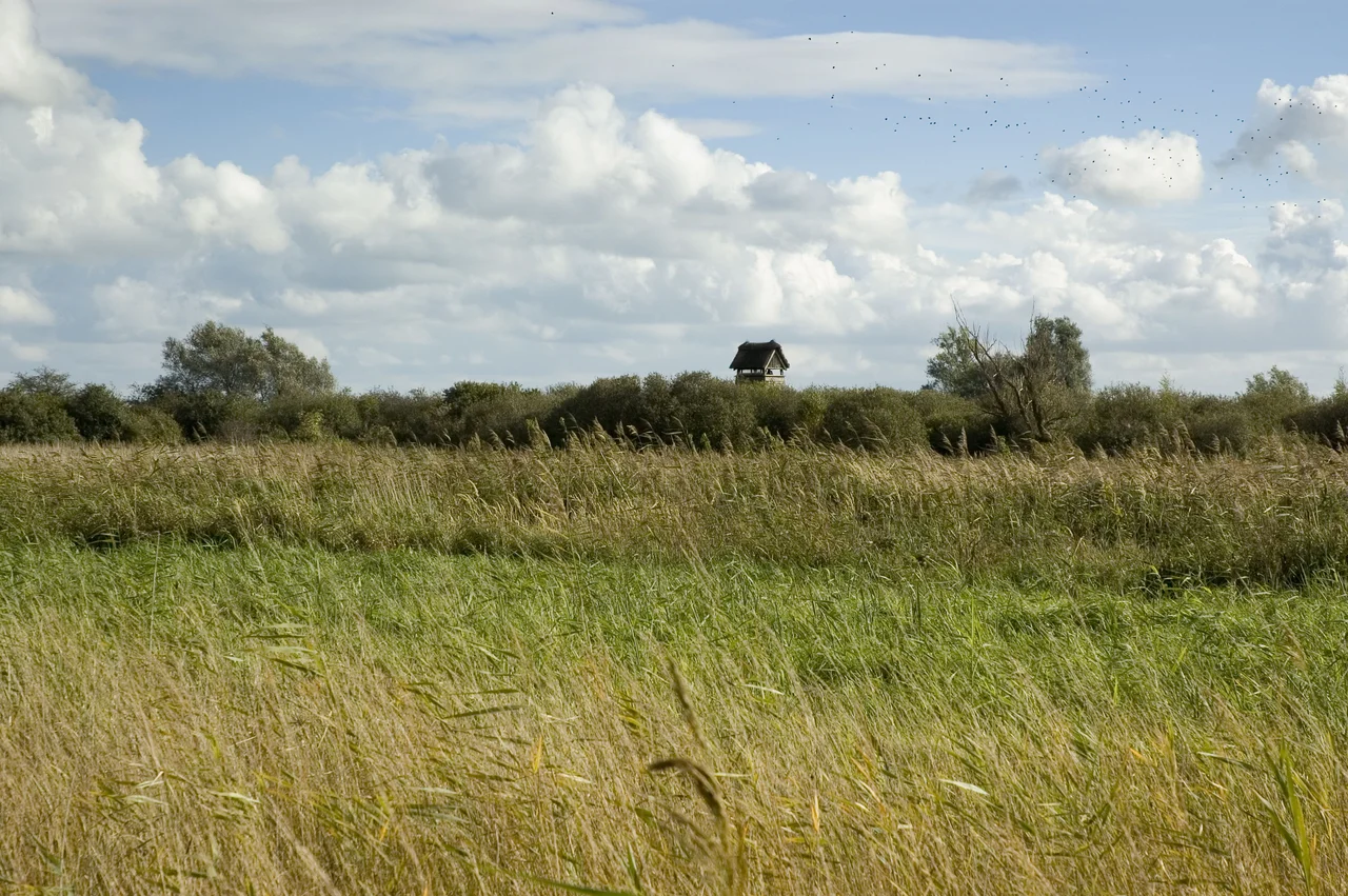 Wicken Fen showing one of the many hides on the fen.

Photographed by Paul Tuli on 23rd October 2005.