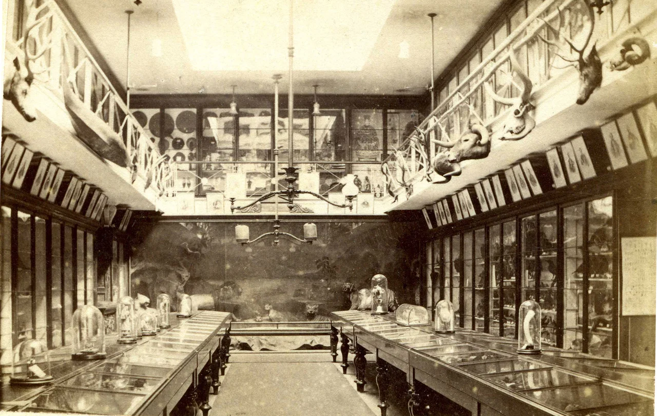 Scan from original print c 1875