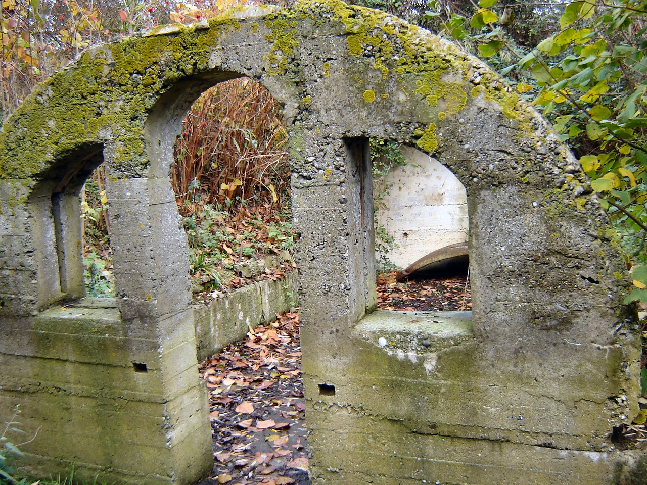 Ruins of a concrete shelter on the war site John McCrae. Boezinge, Ieper, West Flanders, Belgium