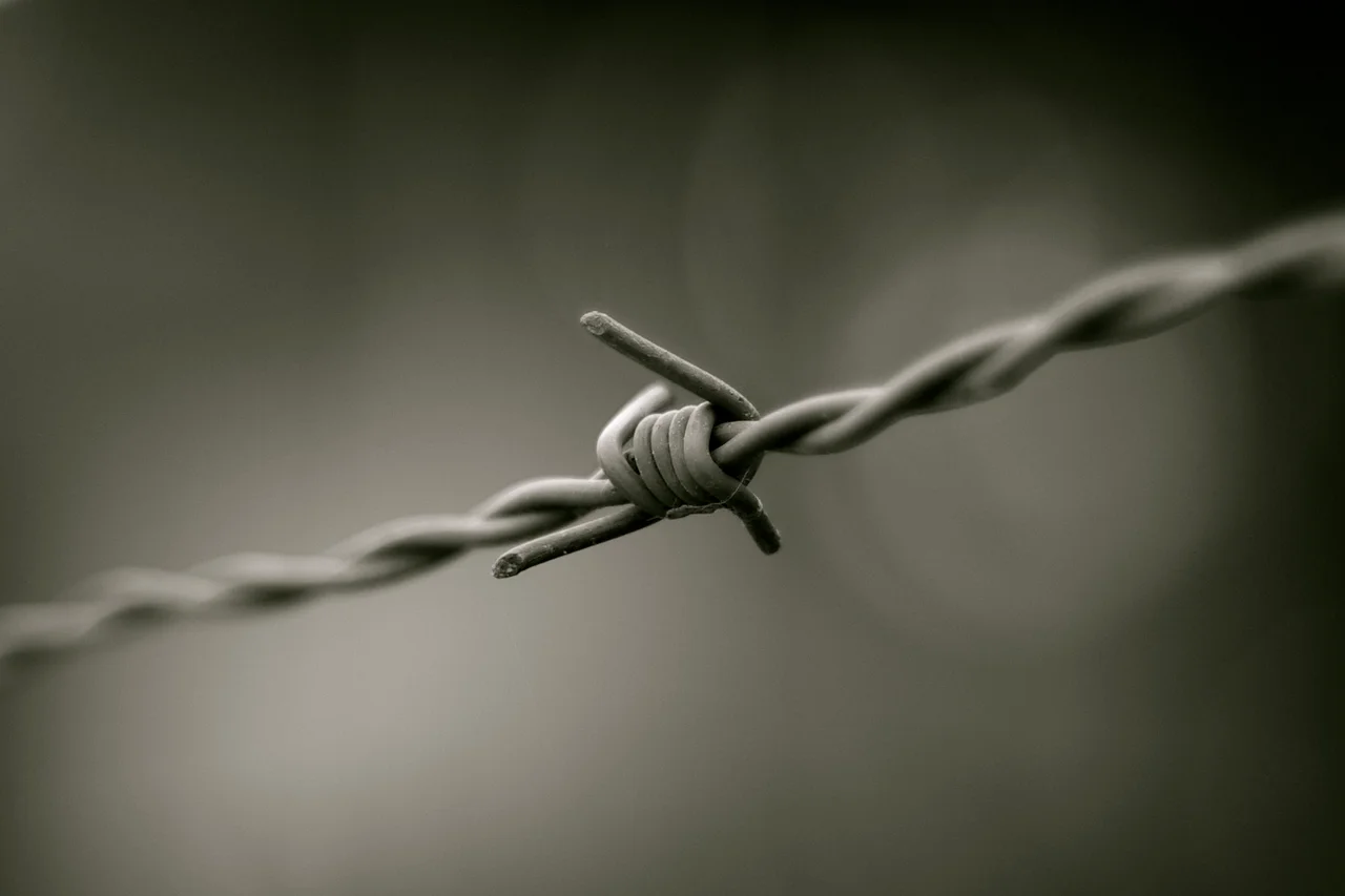 Barbed wire in black and white. This photo was taken during a visit at the KZ Herzogenbusch concentration camp, nearby Vught, the Netherlands.
