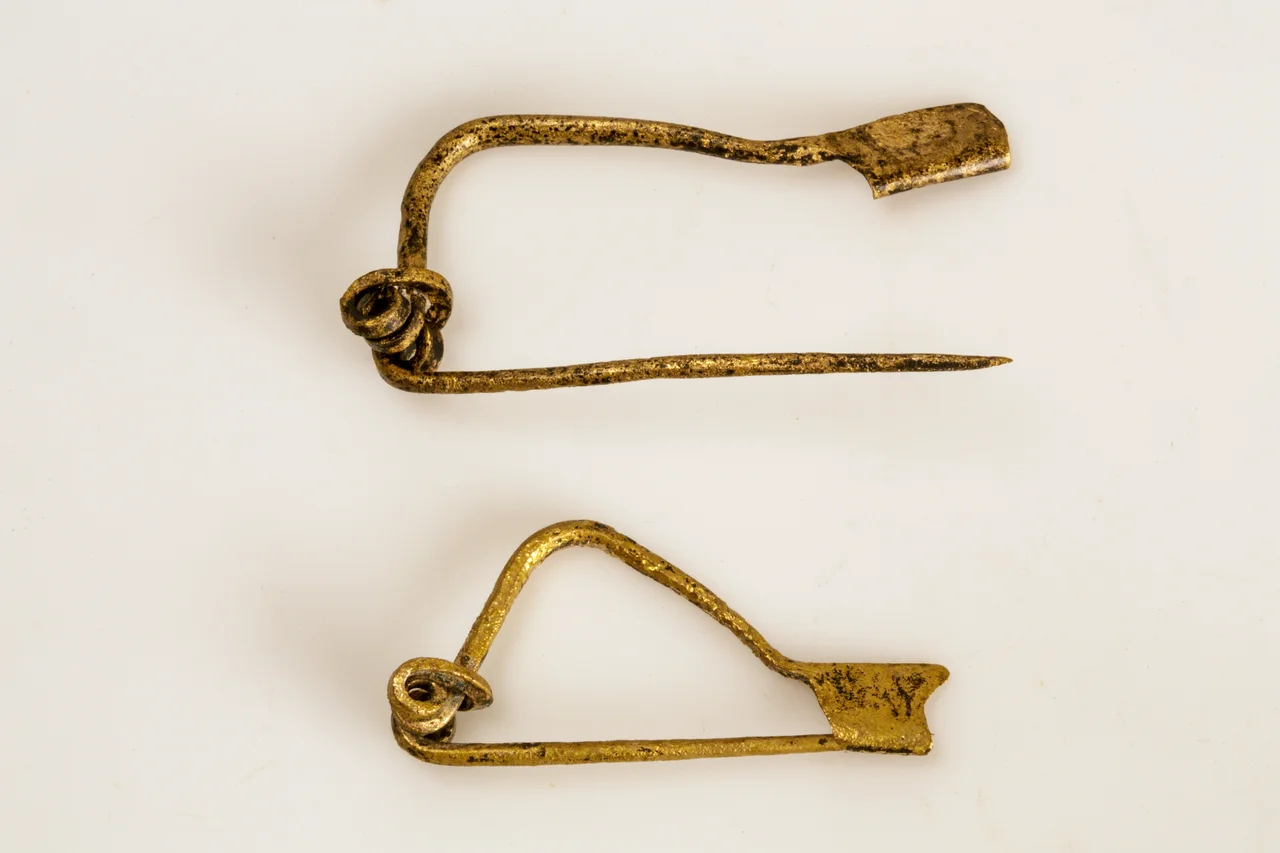 Roman fibula.