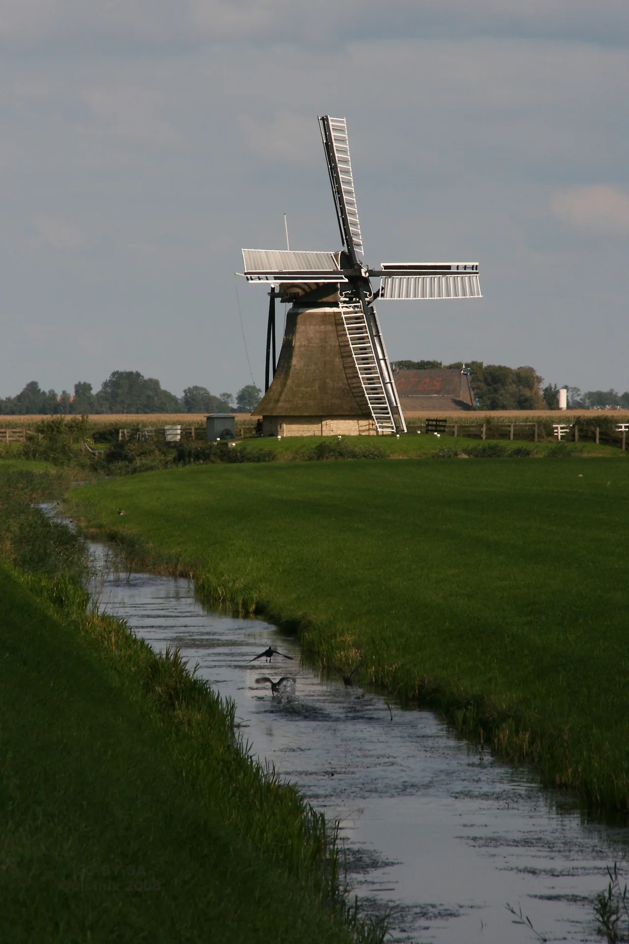 Burgwerd: De Aylvapoldermolen