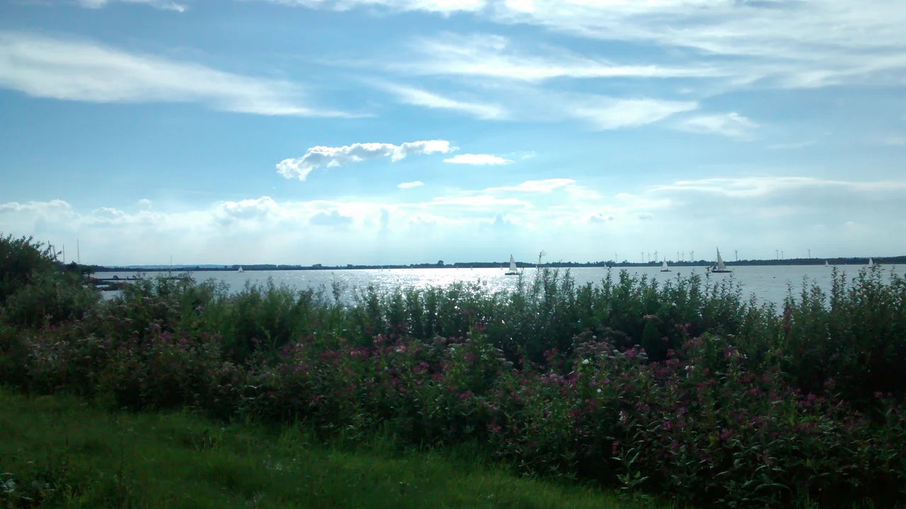 Sideview of the Dümmer Lake.
