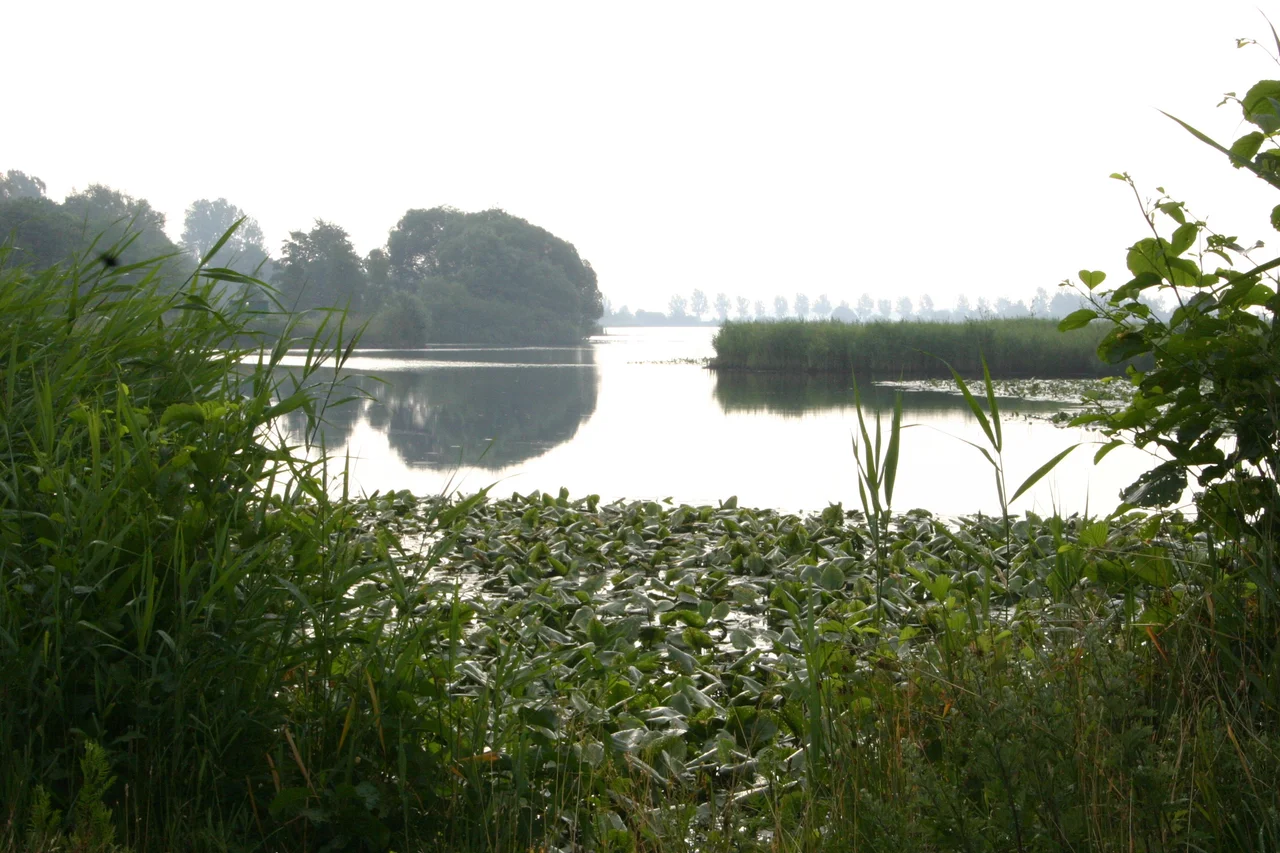 View from the west of the peat-fen lake of Sandwater, near Ihlow, in the district of Aurich, East Frisia, Lower Saxony, Germany