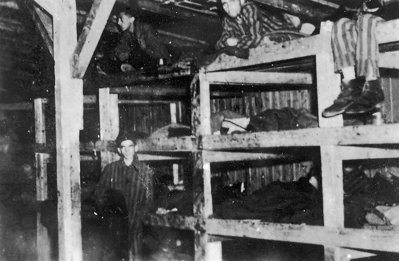Liberation of the Nazi camp of Buchenwald. Prisoners dormitory – 3 man by box