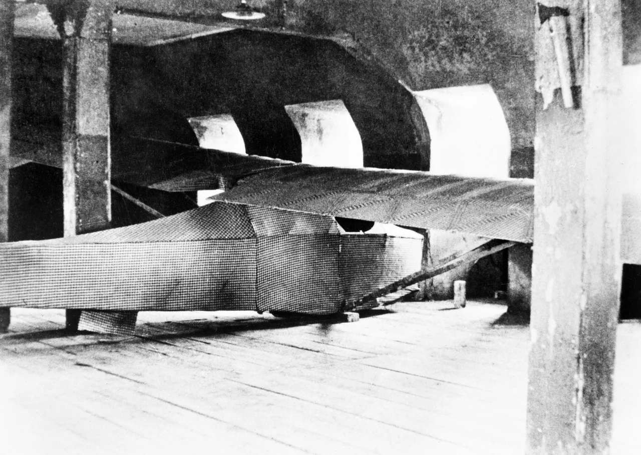 The only known picture of the Colditz glider: assembled by Bill Goldfinch and Jack Best in the lower attic above the chapel.
Photograph taken April 15th 1945 by Lee Carson, one of two newspaper correspondents assigned to Colonel Leo Shaughnessy's task force which relieved the Castle.
Image:Originalglider.jpg (english wiki)
