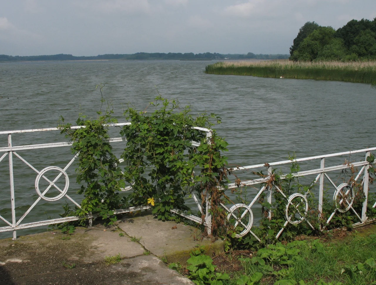 Lake near Torgau in Saxony, Germany