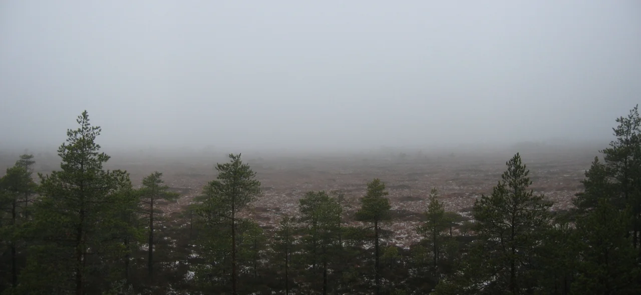 A panorama image of Vajosuo in Kurjenrahka National Park, Finland. Image taken from the nature tower at the south end of the bog.
