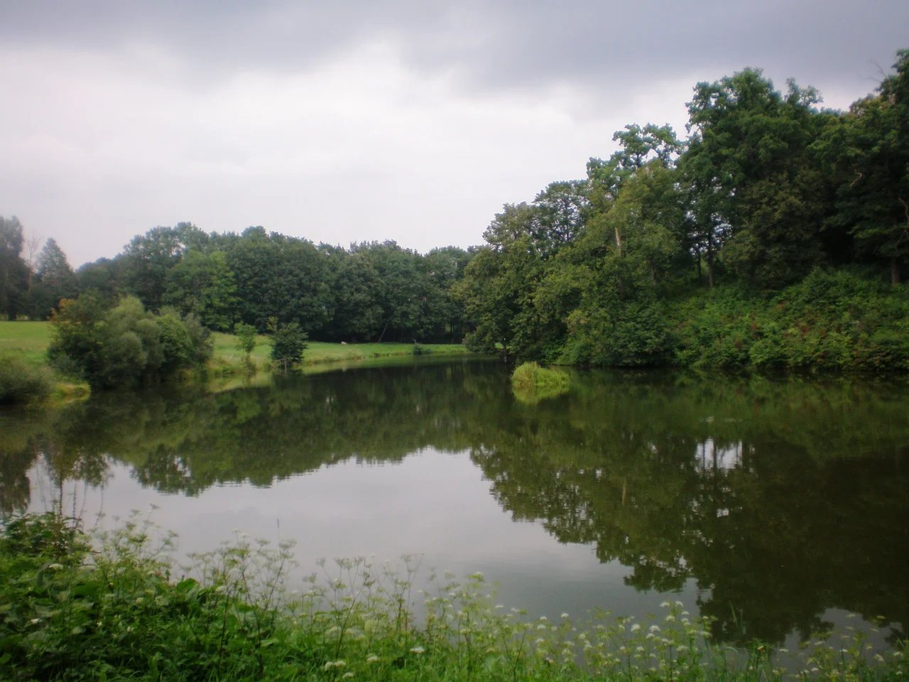 Lake by the Panemunė castle in Vitėnai or Pilis I