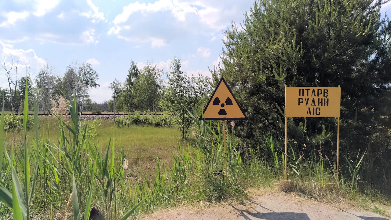 Former "Red Forest" near Pripyat, June 2019. Panel Means "PTLRV (placement of items of temporary localization of radioactive waste) Red Forest"