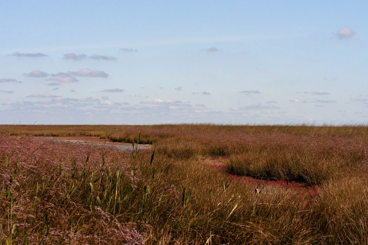 Byriuchyi Island in Azov Sea, Ukraine