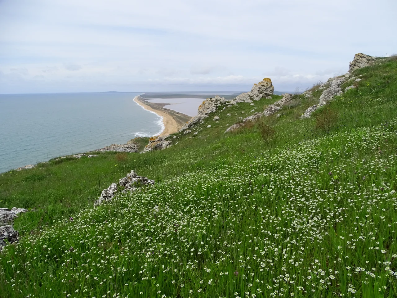 Opuk Natural Reserve.