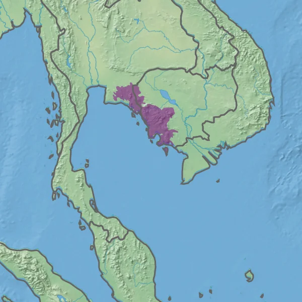 Ecoregion IM0106 - Cardamom Mountains rain forests (in purple)