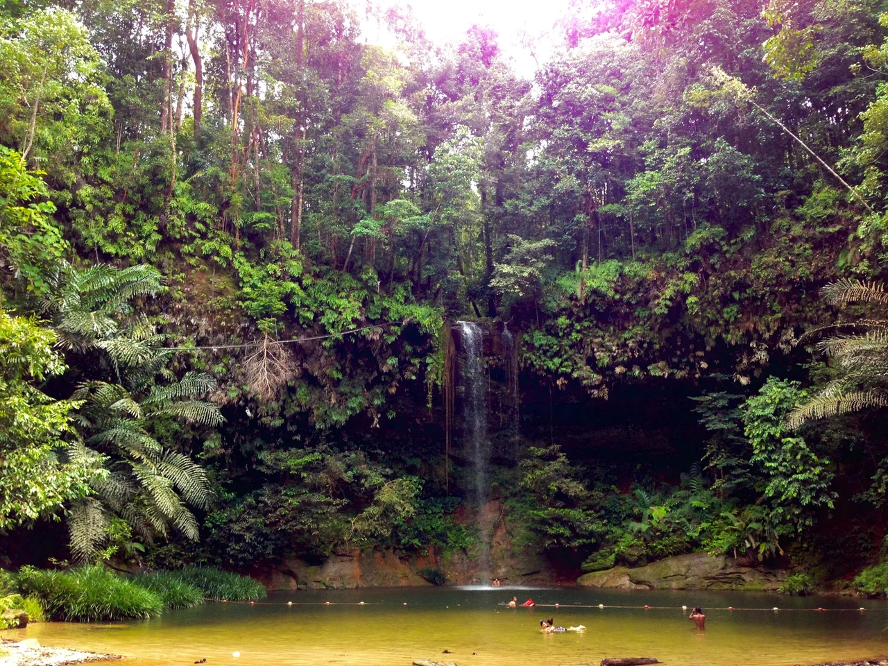 Lambir Hills Waterfall in Lambir Hills National Park.