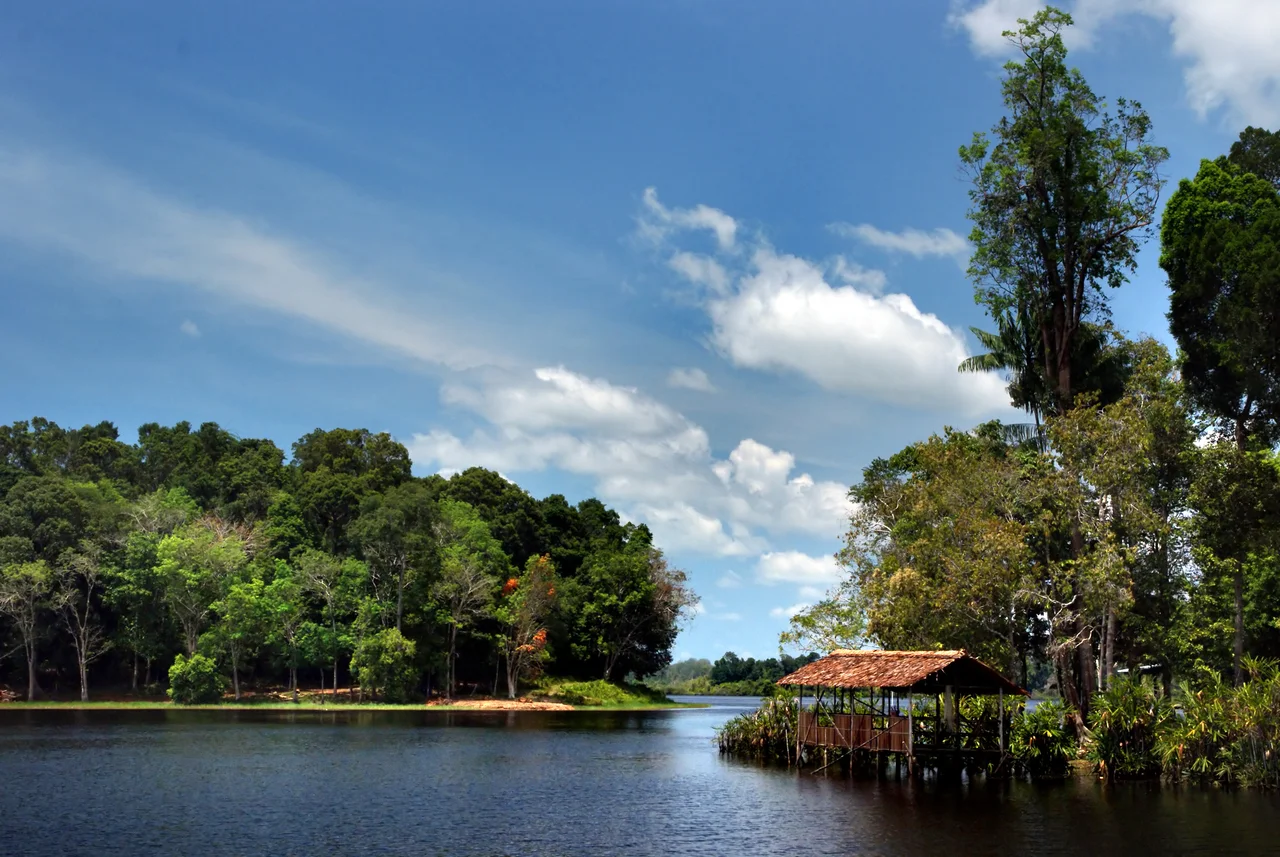 Tasek Merimbun (Translation: Merimbun Lake) Heritage Park’ is a wildlife sanctuary, a conservation spot for flora and fauna, a recreational center, and a venue for research and education. It is the first to be declared a national park in Brunei Darussalam. The 7,800-hectare park was also declared an ASEAN Heritage Park on 29 November 1984, marking a significant era in its history.