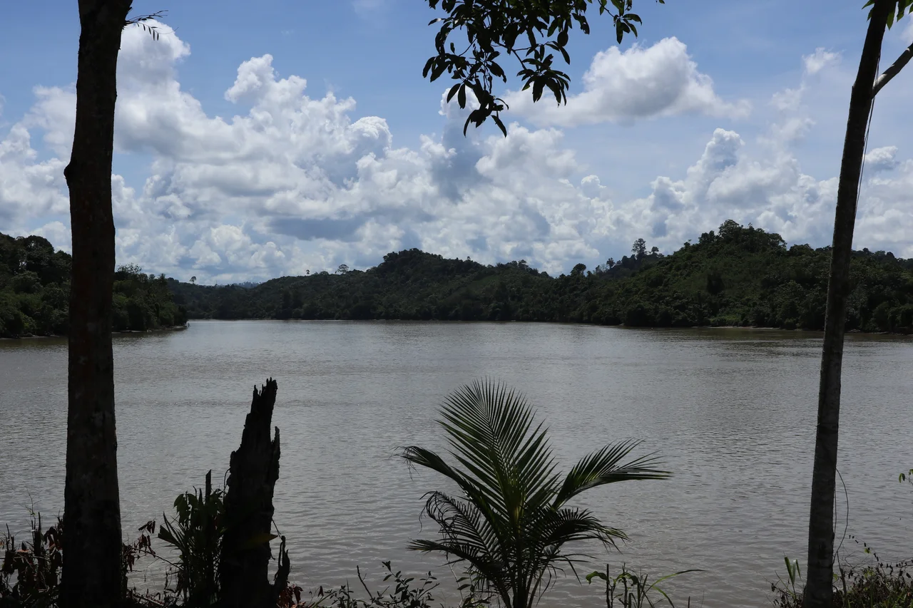 Sungai Kayan yang berhulu di pegunungan kawasan Taman Nasional Kayan Mentarang dan bermuara di Laut Sulawesi.