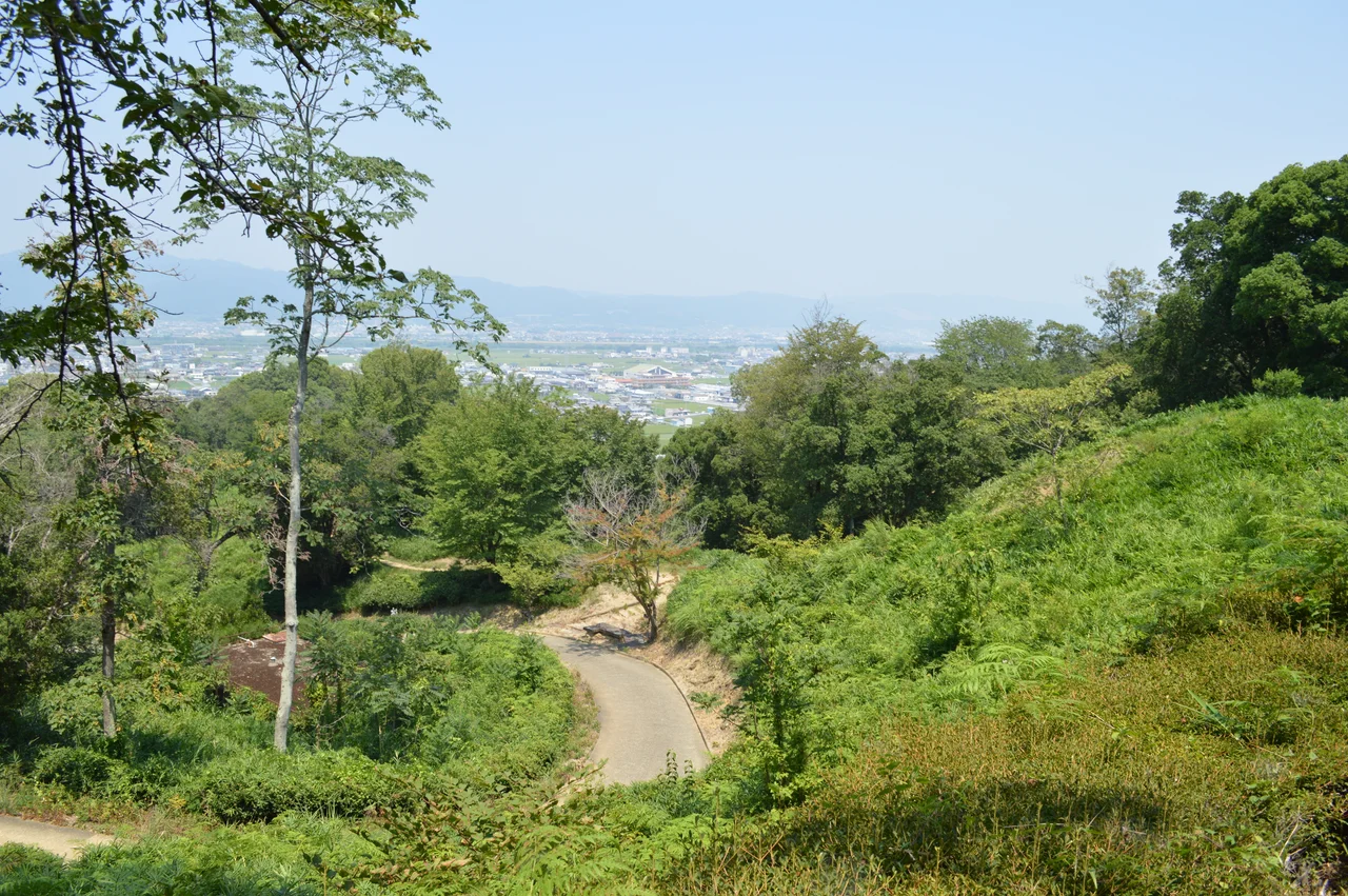 岩橋千塚古墳群 前山A地区円墳群