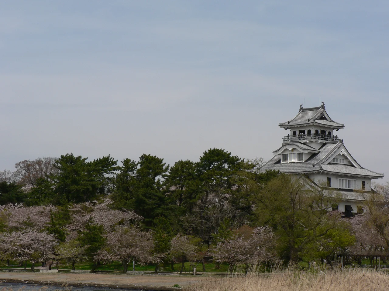 Chateau de Nagahama.
Nagahama Castle.